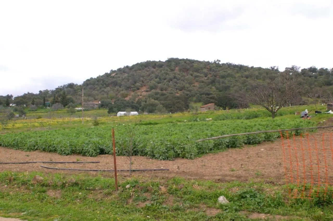 Comfortable Villa With Mountain View In Aroche + Private Pool Spain